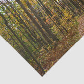 秋トレイルとゴールデン葉ズアットローレルヒルパーク 薄葉紙 (詳細)