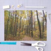 秋トレイルとゴールデン葉ズアットローレルヒルパーク 薄葉紙 (クラフト)