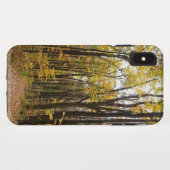 秋トレイルとゴールデン葉ズアットローレルヒルパーク Case-Mate iPhoneケース (裏面(横))