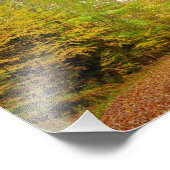 秋トレイル写真 フォトプリント            (角)