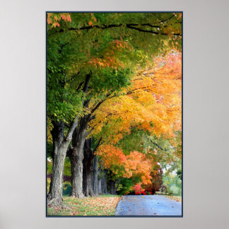 秋ドライブ ポスター