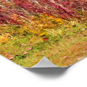 秋バイザパークレイク – 紅葉 ポスター (角)