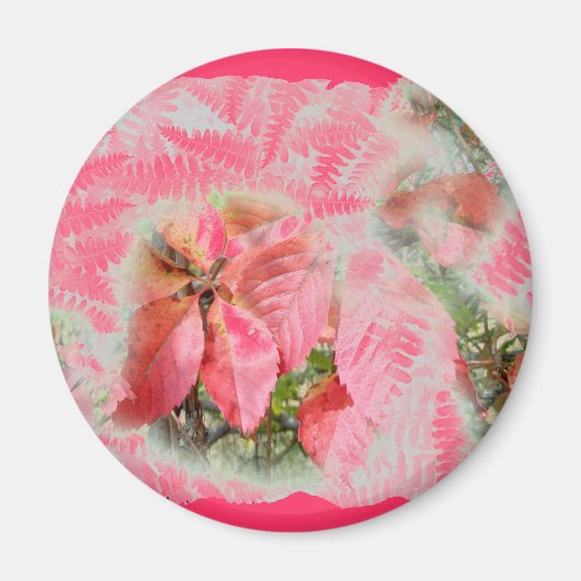 秋バージニアクリーパーつる植物 マグネット (正面)