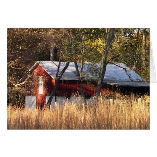 秋バーンインセントラルメリーランド (正面横)