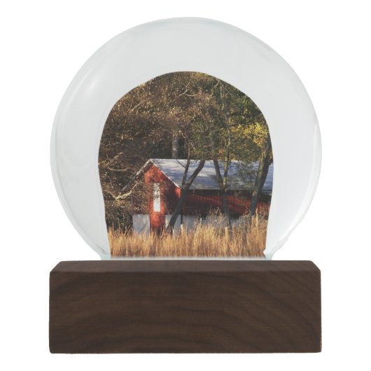 秋バーンインセントラルメリーランド スノーグローブ (正面)