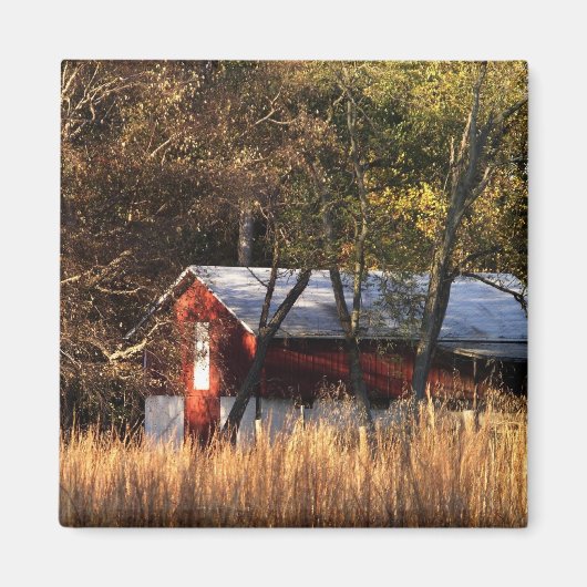 秋バーンインセントラルメリーランド マグネット (正面)