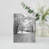 秋パス ポストカード (スタンド正面)