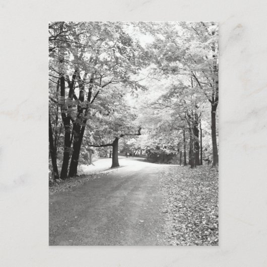 秋パス ポストカード (正面)