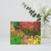 秋パス ポストカード (スタンド正面)