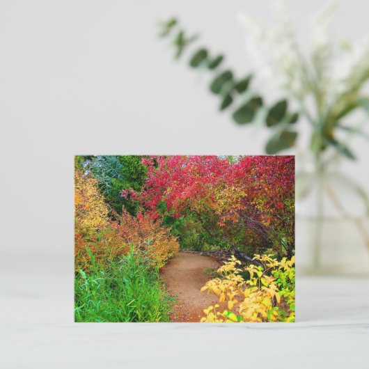 秋パス ポストカード (スタンド正面)