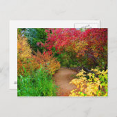 秋パス ポストカード (正面/裏面)