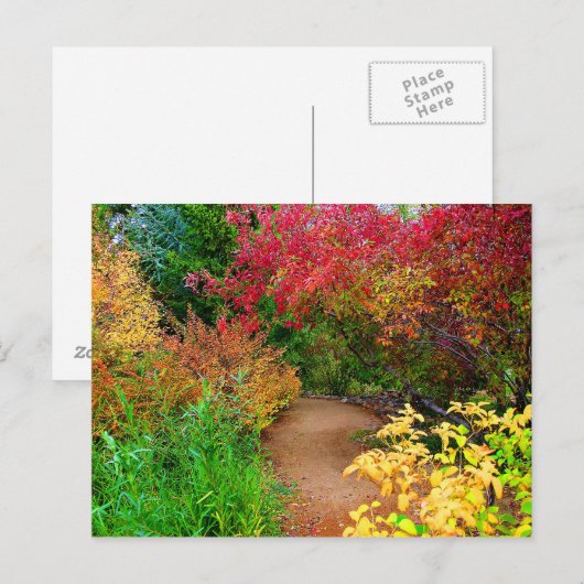 秋パス ポストカード (正面/裏面)