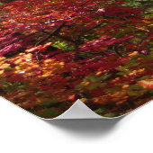 秋ファンタジー(15)ポスター ポスター (角)