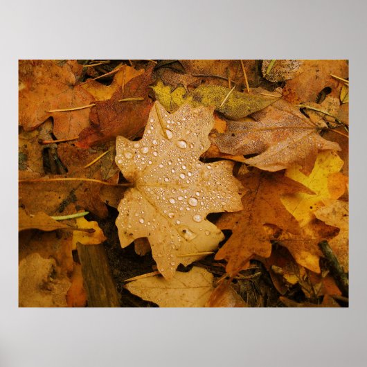 秋ファンタジー(30)ポスター ポスター (正面)