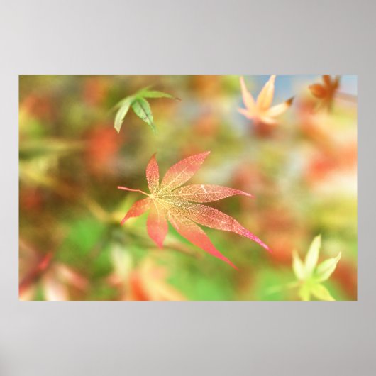 秋フィリグリープリント ポスター (正面)