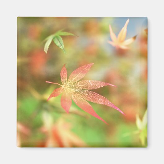 秋フィリグリー磁石 マグネット (正面)