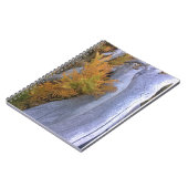 秋フォレストブレスケンス ノートブック (左側)