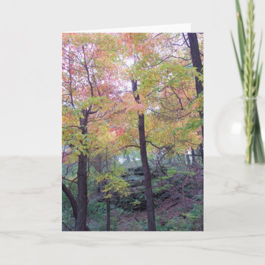 秋フォレスト空白の – 内部グリーティングカード カード (正面)