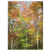 秋フォレストII秋風景写真 クリップボード (裏面)