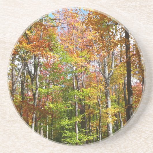 秋フォレストII秋風景写真 コースター (正面)