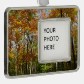 秋フォレストII秋風景写真 シルバープレートフレームオーナメント (右)