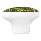 秋フォレストII秋風景写真 セラミックノブ (側面)