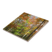 秋フォレストII秋風景写真 タイル (側面)