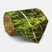 秋フォレストII秋風景写真 ネクタイ (ロール)