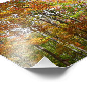 秋フォレストII秋風景写真 フォトプリント            (角)