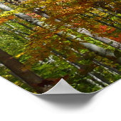 秋フォレストII秋風景写真 ポスター (角)