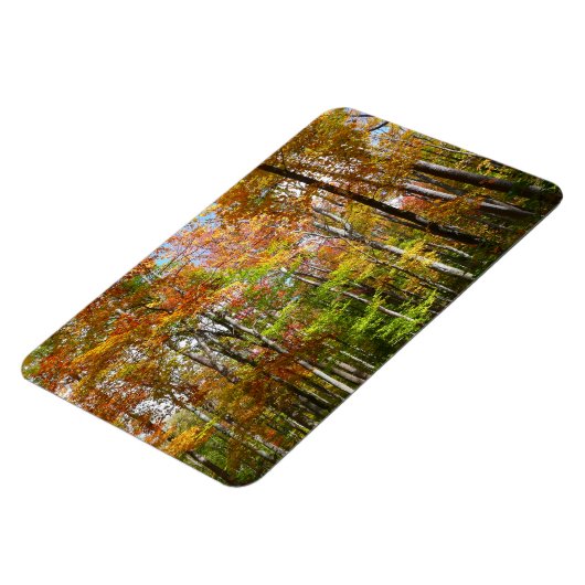 秋フォレストII秋風景写真 マグネット (左側)