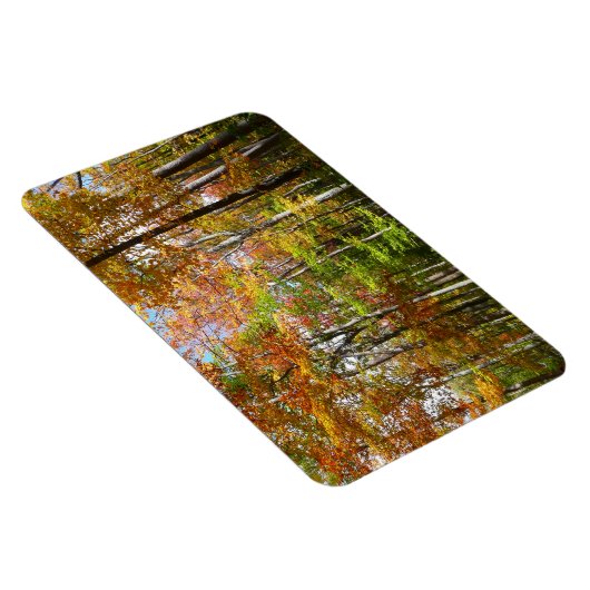 秋フォレストII秋風景写真 マグネット (右側)