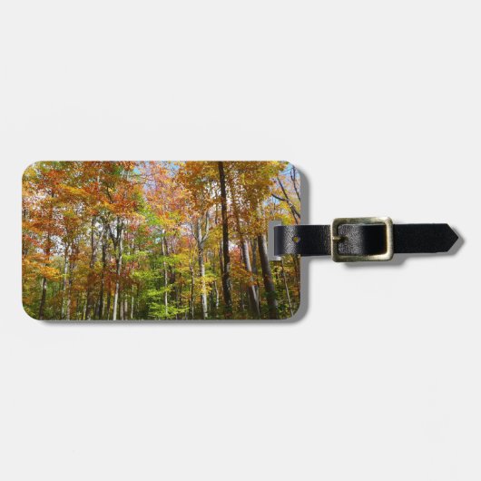 秋フォレストII秋風景写真 ラゲッジタグ (正面横)