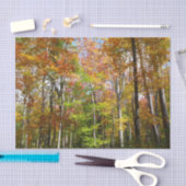 秋フォレストII秋風景写真 薄葉紙 (クラフト)