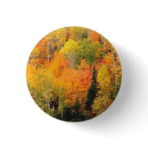 秋フォーリーバレー