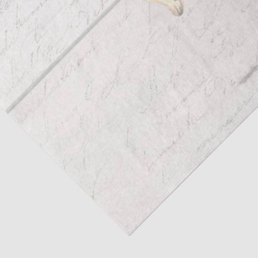 秋フラワーホワイトパンプキンキノコの切り離し 薄葉紙 (詳細)