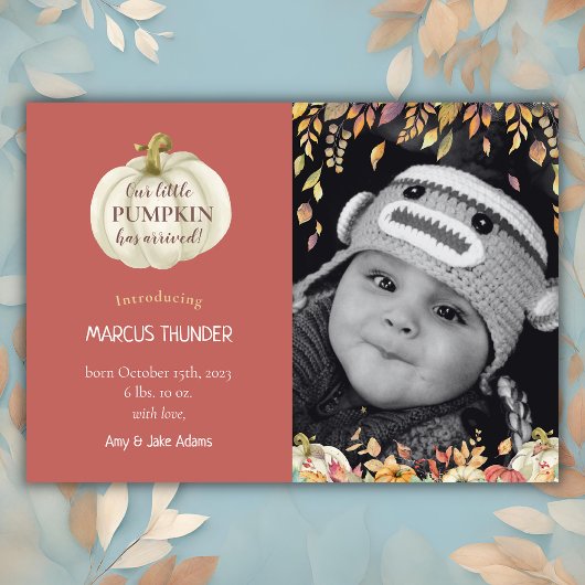 秋ベビー誕生写真のお知らせ 案内状