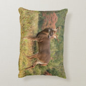 秋ホワイトテールバック アクセントクッション (裏面(縦))