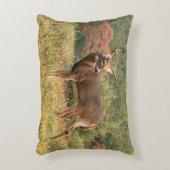 秋ホワイトテールバック アクセントクッション (正面(垂直))