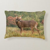 秋ホワイトテールバック アクセントクッション (裏面)