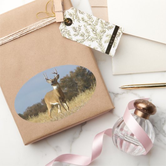 秋ホワイトテールバック 楕円形シール (ギフト)