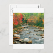 秋ホワイトマウンテンズニューハンプシャー ポストカード (正面/裏面)