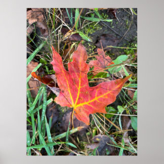 秋ポスター ポスター