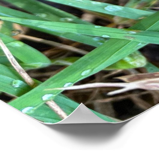 秋ポスター ポスター (角)