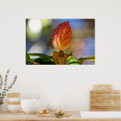 秋マグノリア種子ポッド ポスター (キッチン)