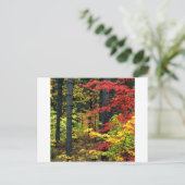 秋ミシガン ポストカード (スタンド正面)