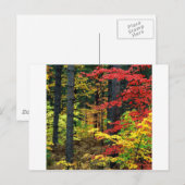 秋ミシガン ポストカード (正面/裏面)