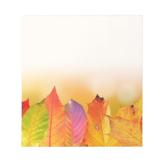 秋メモ ノートパッド (正面)