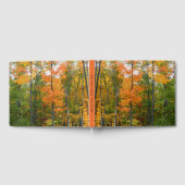 秋メープルツリーズ秋の自然写真 ゲストブック (全面)