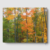 秋メープルツリーズ秋の自然写真 ゲストブック (裏面)